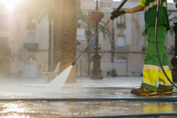Best Sidewalk and Walkway Cleaning  in Alpena, MI